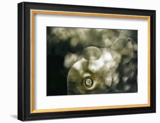 Sepia-Flecks-Carrie Webster-Framed Photographic Print