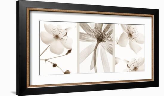 Sepia Floral-null-Framed Art Print