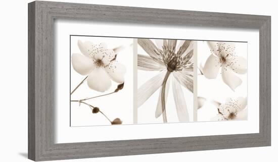 Sepia Floral-null-Framed Art Print