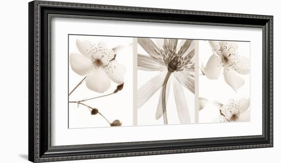 Sepia Floral-null-Framed Art Print