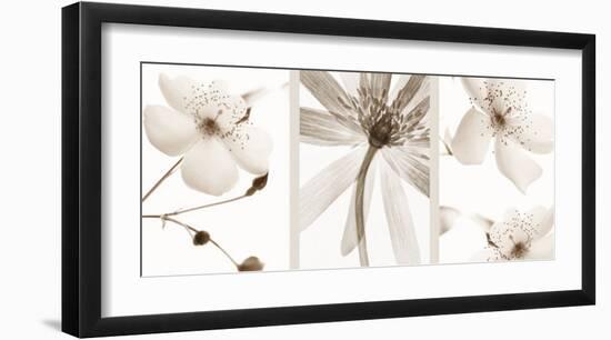 Sepia Floral-null-Framed Art Print