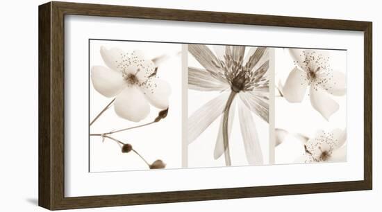 Sepia Floral-null-Framed Art Print