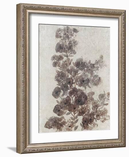 Sepia Flower Study II-null-Framed Art Print