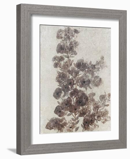 Sepia Flower Study II-null-Framed Art Print