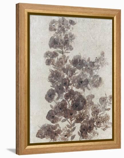 Sepia Flower Study II-null-Framed Stretched Canvas