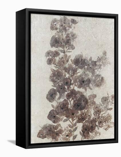 Sepia Flower Study II-null-Framed Stretched Canvas