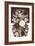 Sepia Flowerbed-null-Framed Art Print