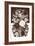 Sepia Flowerbed-null-Framed Premium Giclee Print