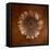 Sepia Gerbera Daisy-Robert Cattan-Framed Premier Image Canvas