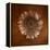 Sepia Gerbera Daisy-Robert Cattan-Framed Premier Image Canvas