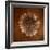 Sepia Gerbera Daisy-Robert Cattan-Framed Photographic Print