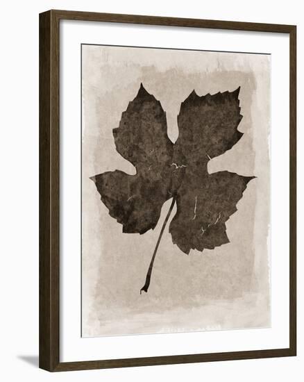 Sepia Grape Leaf-Cora Niele-Framed Photographic Print