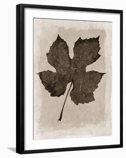 Sepia Grape Leaf-Cora Niele-Framed Photographic Print
