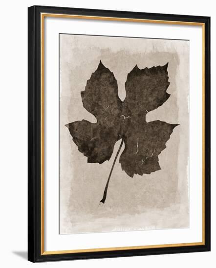 Sepia Grape Leaf-Cora Niele-Framed Photographic Print