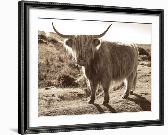 Sepia Highland-Michael Hudson-Framed Art Print