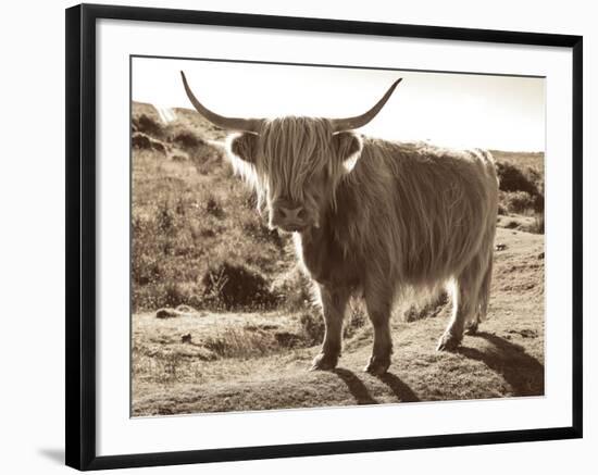 Sepia Highland-Michael Hudson-Framed Art Print