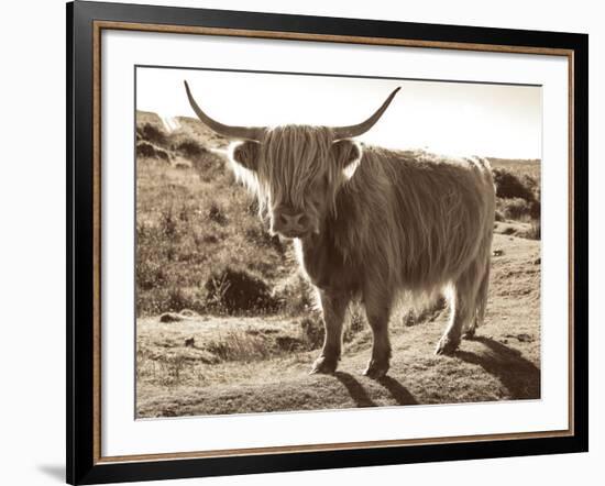 Sepia Highland-Michael Hudson-Framed Art Print