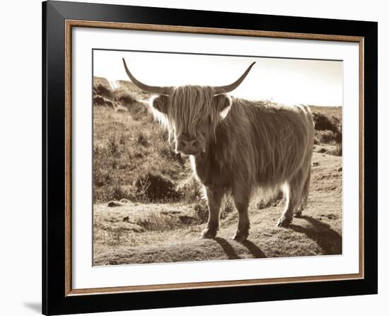 Sepia Highland-Michael Hudson-Framed Art Print