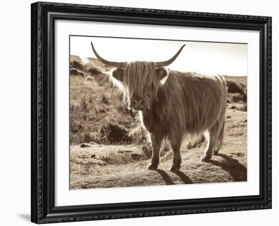 Sepia Highland-Michael Hudson-Framed Art Print