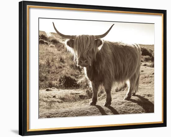 Sepia Highland-Michael Hudson-Framed Art Print