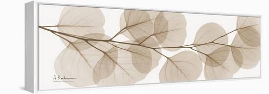 Sepia Kaluptos eucalyptus-Albert Koetsier-Framed Stretched Canvas