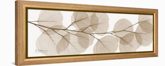 Sepia Kaluptos eucalyptus-Albert Koetsier-Framed Stretched Canvas