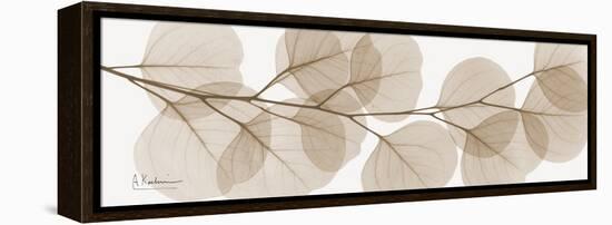 Sepia Kaluptos eucalyptus-Albert Koetsier-Framed Stretched Canvas