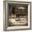 Sepia Lake Canoe House-Suzanne Foschino-Framed Photo