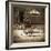 Sepia Lake Canoe House-Suzanne Foschino-Framed Photo