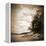 Sepia Lake-Suzanne Foschino-Framed Stretched Canvas