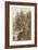 Sepia Larch Tree-Ernst Heyn-Framed Art Print