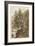 Sepia Larch Tree-Ernst Heyn-Framed Art Print