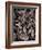 Sepia Leaves-Tim Kahane-Framed Photographic Print