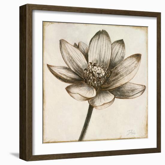 Sepia Lotus II-Patricia Pinto-Framed Art Print