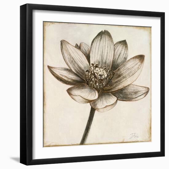 Sepia Lotus II-Patricia Pinto-Framed Art Print