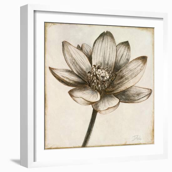 Sepia Lotus II-Patricia Pinto-Framed Art Print