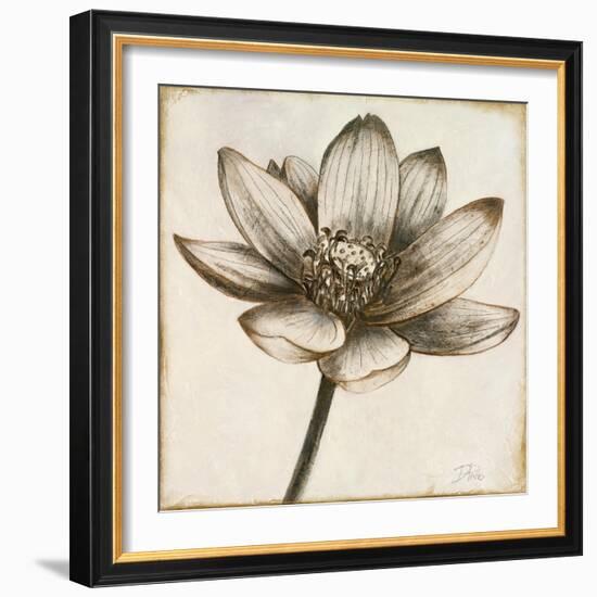 Sepia Lotus II-Patricia Pinto-Framed Art Print