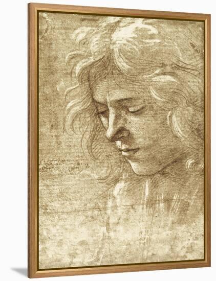 Sepia Maiden-null-Framed Stretched Canvas