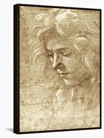 Sepia Maiden-null-Framed Stretched Canvas