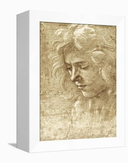 Sepia Maiden-null-Framed Stretched Canvas