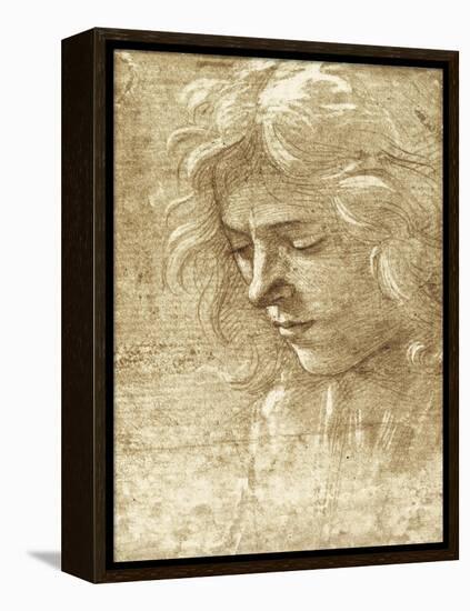 Sepia Maiden-null-Framed Stretched Canvas