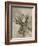 Sepia Moose-Jennifer Goldberger-Framed Art Print