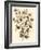 Sepia Munting Foliage I-Abraham Munting-Framed Art Print