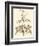 Sepia Munting Foliage II-Abraham Munting-Framed Art Print