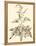 Sepia Munting Foliage II-Abraham Munting-Framed Stretched Canvas