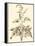 Sepia Munting Foliage II-Abraham Munting-Framed Stretched Canvas