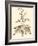 Sepia Munting Foliage II-Abraham Munting-Framed Art Print