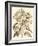 Sepia Munting Foliage III-Abraham Munting-Framed Art Print