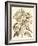 Sepia Munting Foliage III-Abraham Munting-Framed Art Print