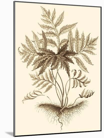 Sepia Munting Foliage IV-Abraham Munting-Mounted Art Print